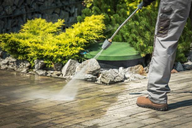 Professional Pressure Washing in Olcott, NY