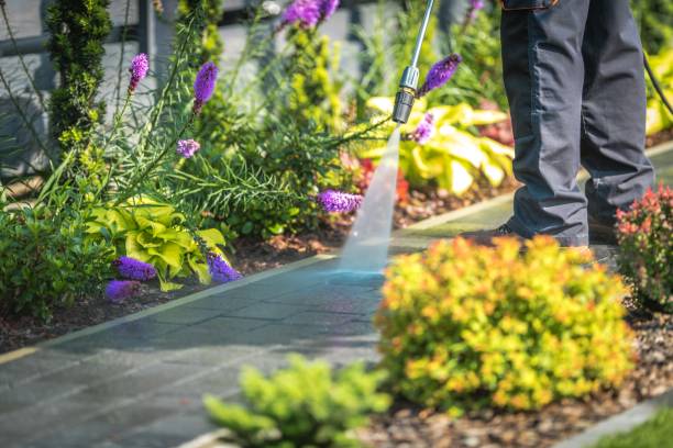 Best Dumpster Area Cleaning  in Olcott, NY